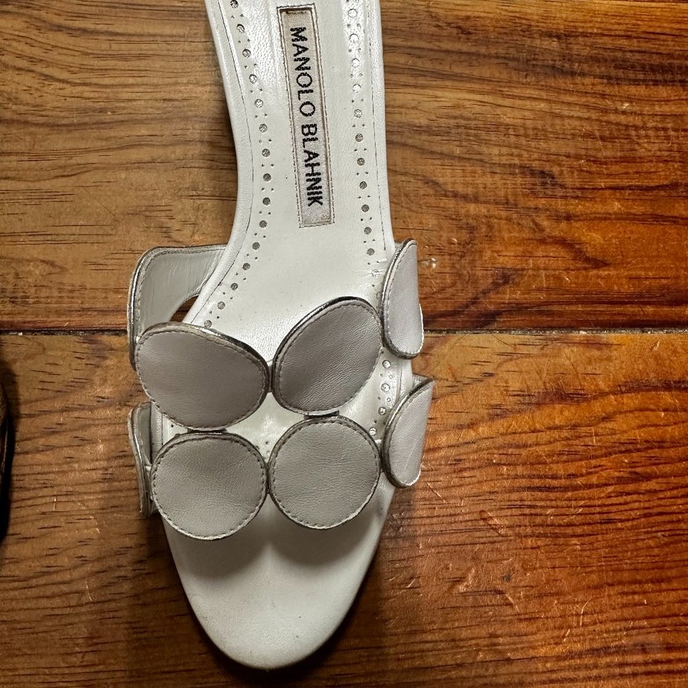 Manolo Blahnik Low Heel.